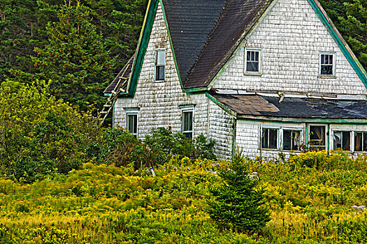 房子,土地,岬角,爱德华王子岛,加拿大