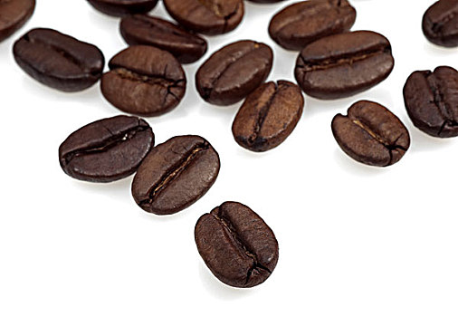 咖啡豆,阿拉伯咖啡,白色背景
