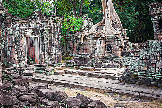 庙宇,吴哥,区域,收获,柬埔寨