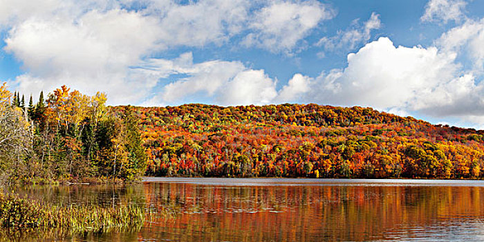 反射,秋色,小,湖,靠近,安大略省,加拿大