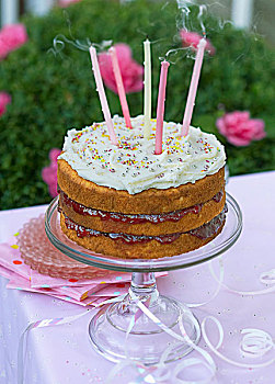 生日蛋糕,室外,蜡烛,桌子,户外