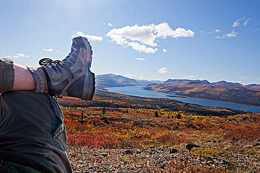 腿,靴子,远足,休息,高山,苔原,色彩,黄色,红色,秋天,远眺,鱼,湖,靠近,怀特霍斯,育空地区,加拿大