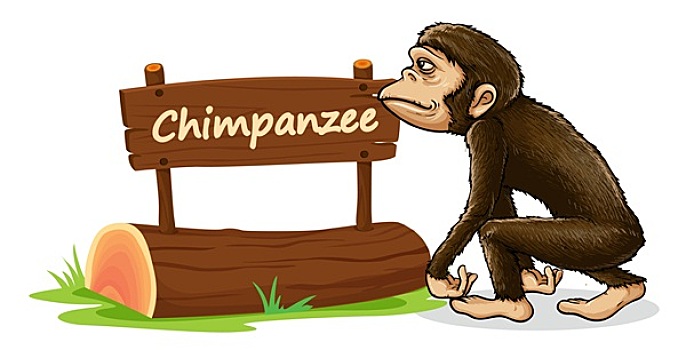 黑猩猩,名字,盘子
