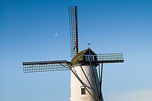 比利时,老,风车