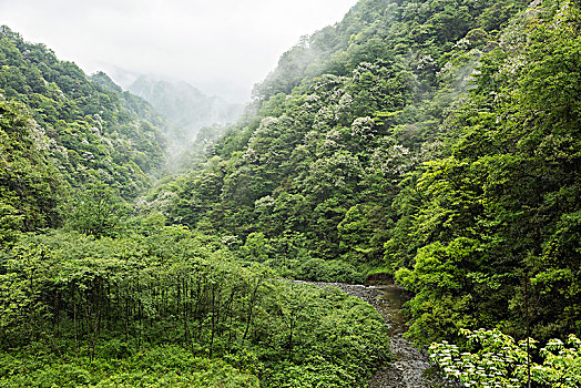 梵净山生态