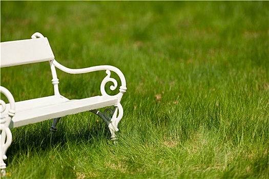 春天,夏天,白色,浪漫,长椅,草地