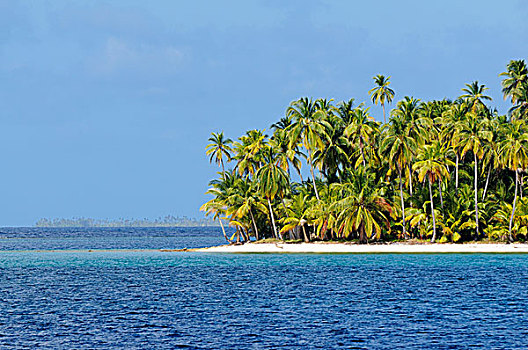 热带海岛,棕榈树,圣布拉斯湾,岛屿,巴拿马,北美