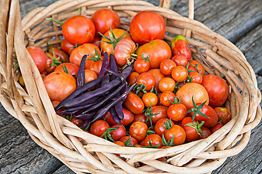俯拍,新鲜,西红柿,紫色,豆,柳条篮