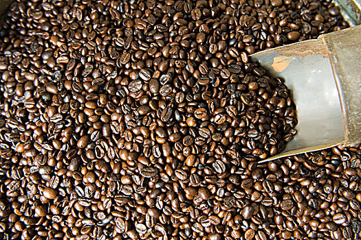 咖啡豆,摩洛哥