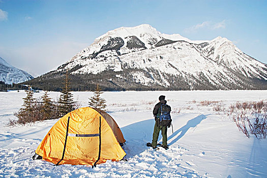 男人,旁侧,帐蓬,雪地,卡纳纳斯基斯,艾伯塔省,加拿大