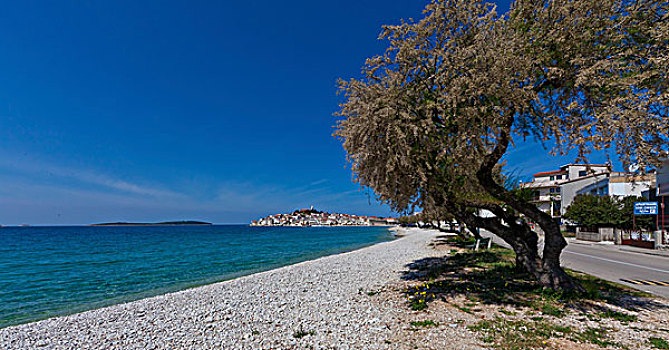 海滩,半岛,背影,中心,达尔马提亚,亚得里亚海,海岸,克罗地亚,欧洲