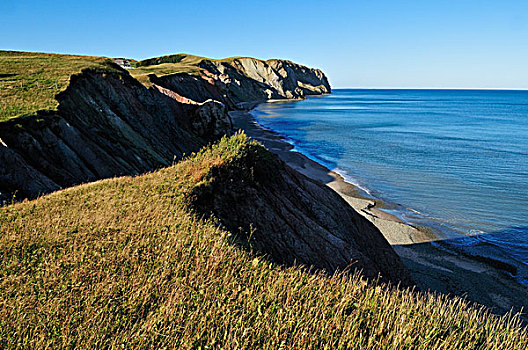 悬崖,靠近,帽,马格达伦群岛,魁北克,加拿大,北美