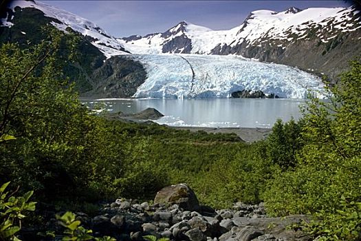 波蒂奇,冰河,阿拉斯加,夏天