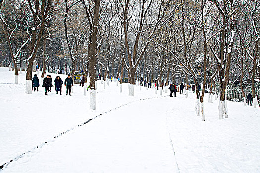 雪景