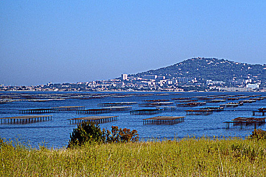 法国,郎格多克,水塘