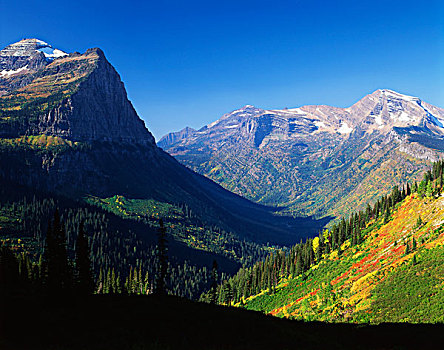 美国,蒙大拿,冰川国家公园,秋天,靠近,大幅,尺寸