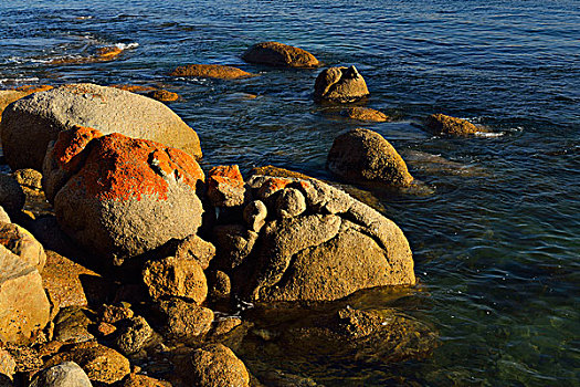 岩石,花冈岩,海岸,岛屿,港口,南澳大利亚州,澳大利亚