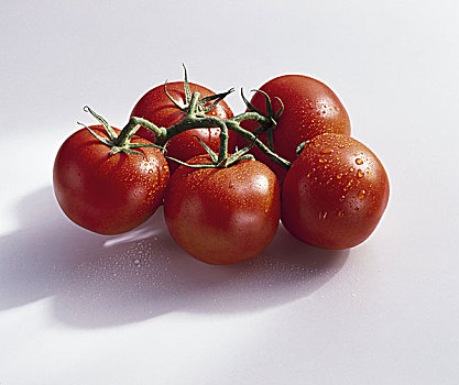 西红柿,品种,水滴