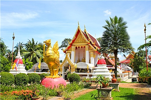 寺院,洛姆,庙宇,苏梅岛,泰国