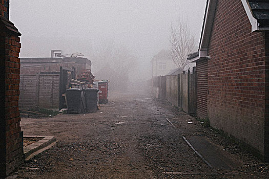 后街,小路,雾,模糊,背景,垃圾桶,读,英格兰