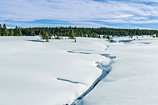 美国,怀俄明,黄石国家公园,雪景,大幅,尺寸