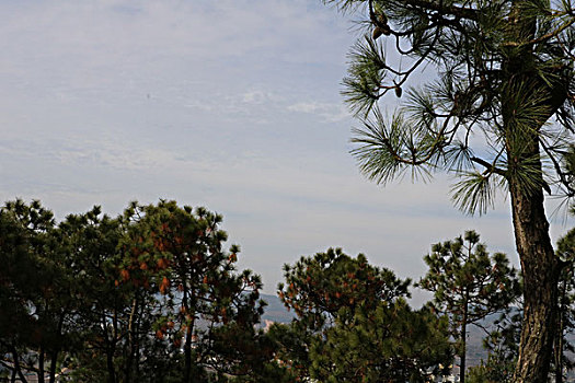 乌蒙风光美如画,贵州,威宁,乌蒙山,美丽,画卷,远山,村庄,田园,树木,自然,风光