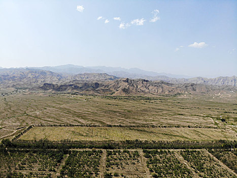 航拍宁夏银川西夏王陵三号帝王陵园,泰陵