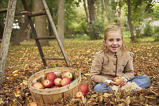 女孩,肖像,坐,叶子,篮子,苹果
