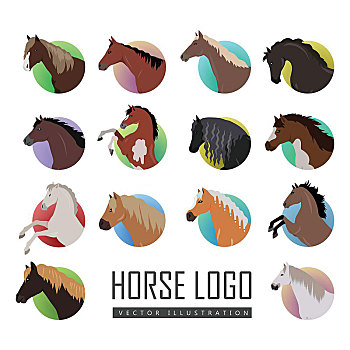 马,标识,风格,矢量,插画,品种,头部,彩色,圆,收集,象征,骑马,场地,网页,设计,隔绝,白色背景,背景