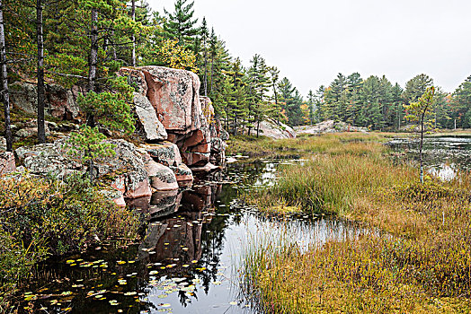 石头,湖,岸边,几个,绿色,彩色,树,秋天,安大略省,加拿大