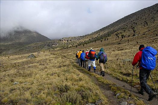 小路,沼泽,风景,肯尼亚山,国家公园,肯尼亚