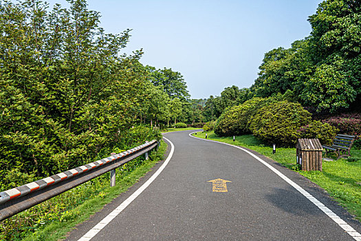 公园绿地与道路