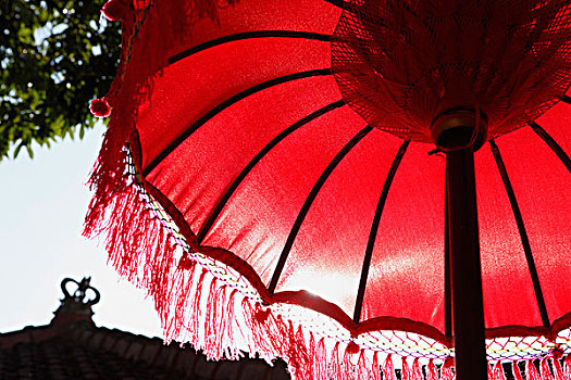 仰拍,红色,巴厘岛,伞,印度尼西亚