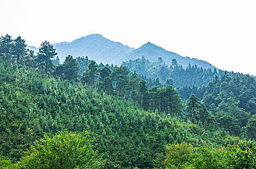 桂林山景秋色