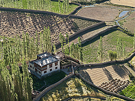 灌溉,农田,河,风景,屋顶,喇嘛寺,帝释寺,查谟-克什米尔邦,印度,亚洲