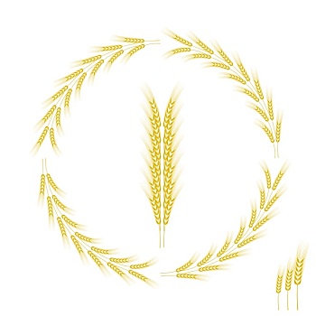 小麦,象征