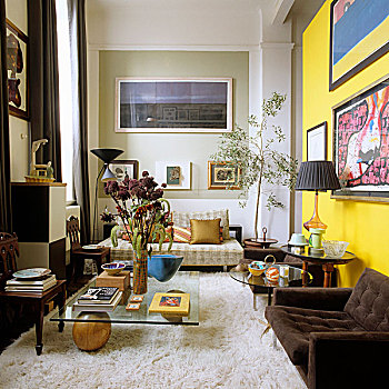 高,客厅,地毯,褐色,扶手椅,正面,黄色,墙