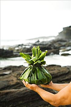 夏威夷,瓦胡岛,男人,手,拿着,给,海岸线