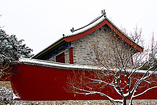 城市雪景