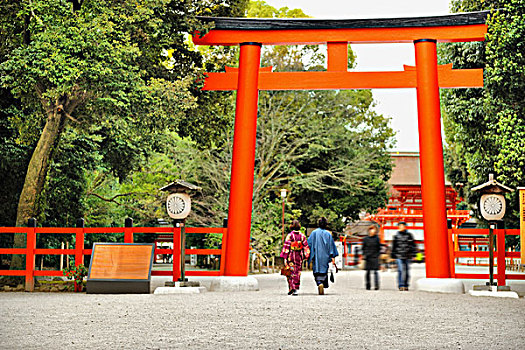 鸟居,神社,京都,京都府,日本