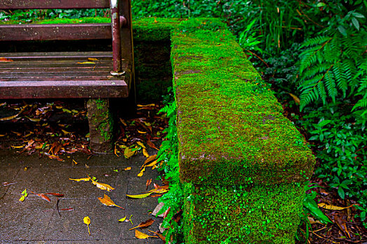 台北阳明山森林步道旁休憩区的公共椅子