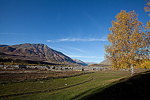 新疆阿勒泰喀纳斯山谷里的村庄