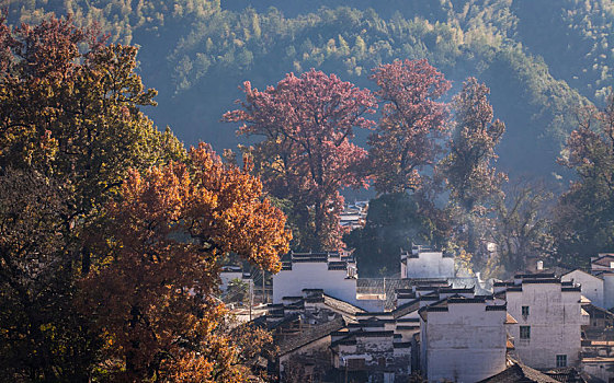 石城,程村