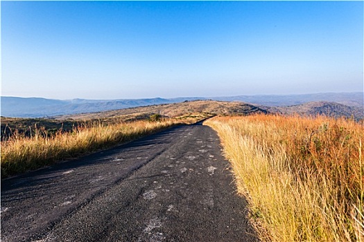 荒野,道路,崎岖地形