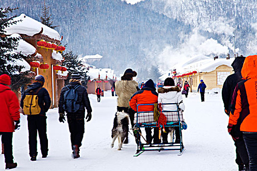 雪乡,双峰林场,村庄,风景,白天,黑龙江,牡丹江