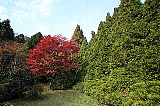 庐山植物园