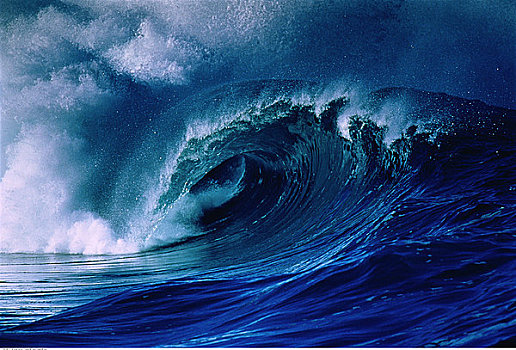 波浪,北岸,夏威夷,美国