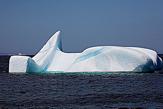 冰山,岸边,尖,北方,半岛,纽芬兰,靠近,拉布拉多犬,加拿大