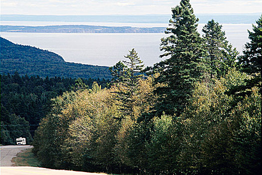 风景,树林,芬地湾,东南部,加拿大