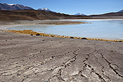 泻湖,腐蚀,建筑,岸边,乌尤尼盐沼,玻利维亚,南美